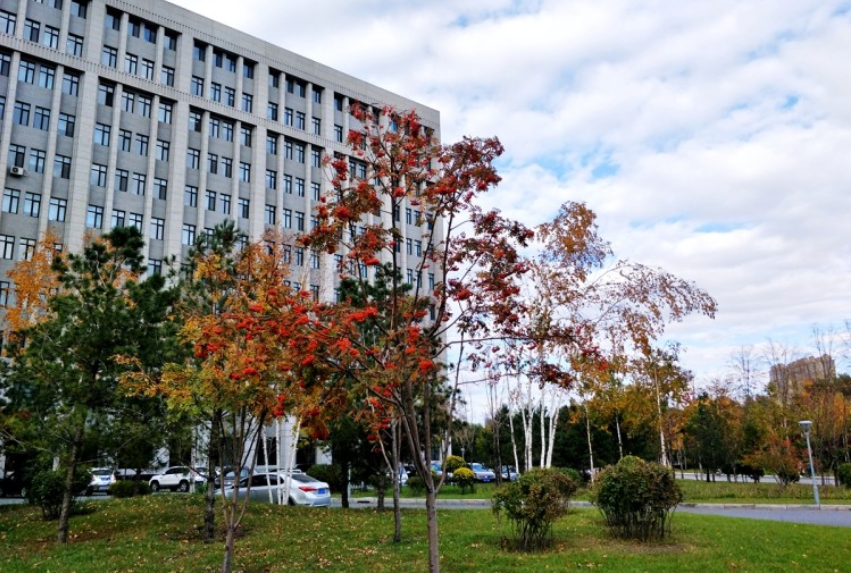 哈爾濱林業(yè)大學項目